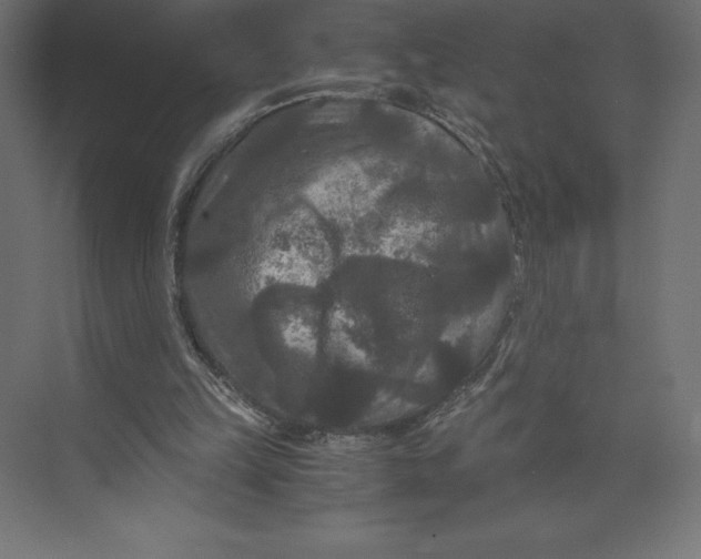 X0000073410149200608181104