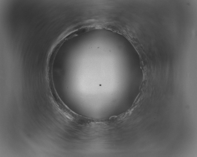 X0000073410150200608181104