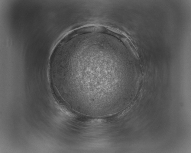 X0000073410152200608181104