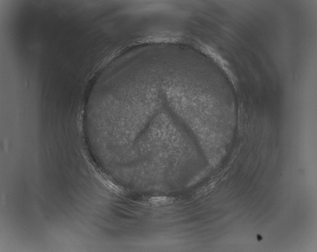 X0000073410153200608181104