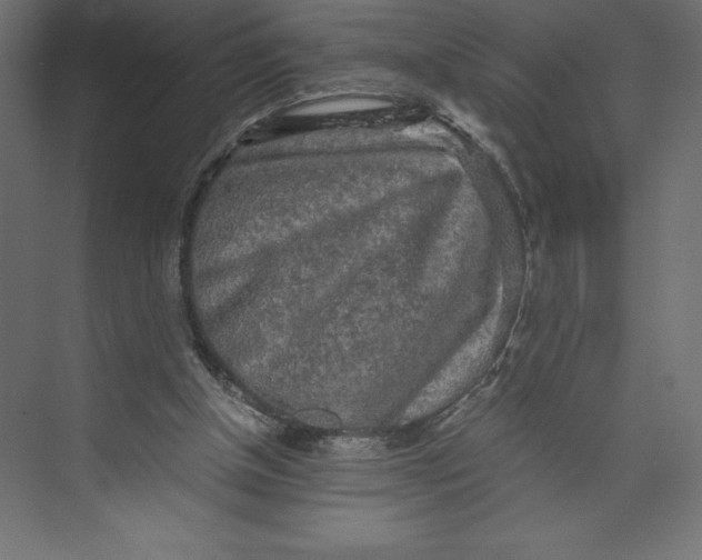 X0000073410154200608181104