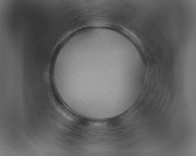 X0000073410155200608181104