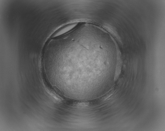 X0000073410156200608181104