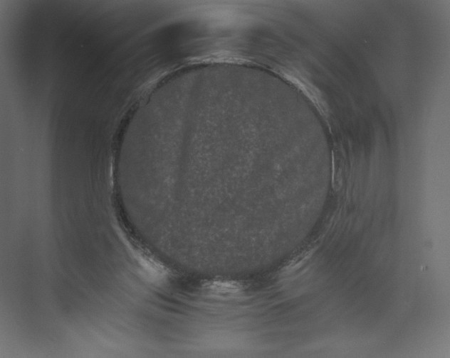 X0000073410157200608181104