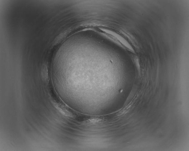 X0000073410158200608181104