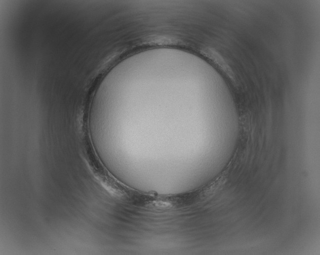 X0000073410159200608181104