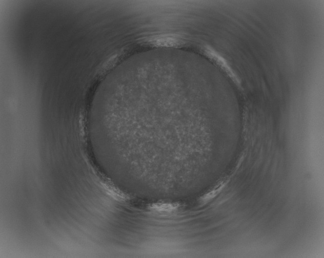 X0000073410161200608181104