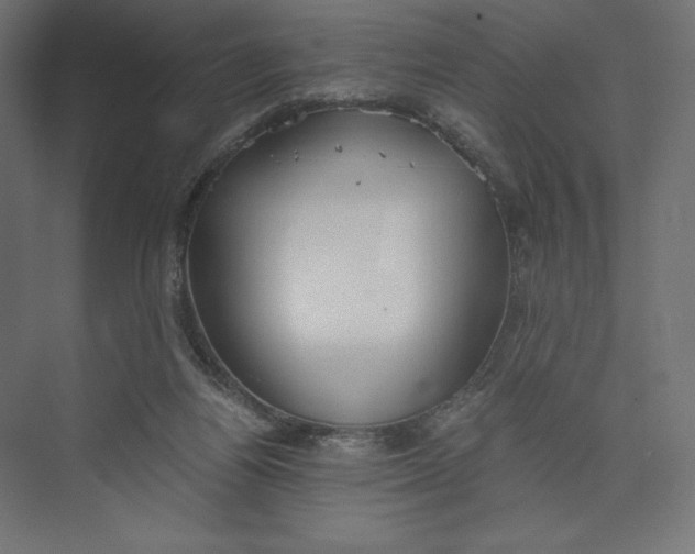 X0000073410164200608181104