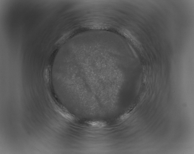 X0000073410165200608181104