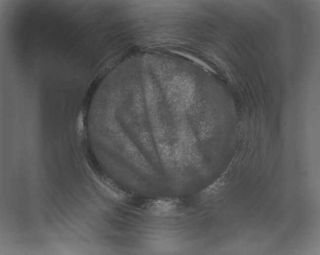 X0000073410166200608181104