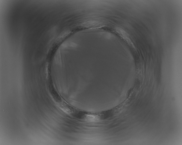 X0000073410167200608181104