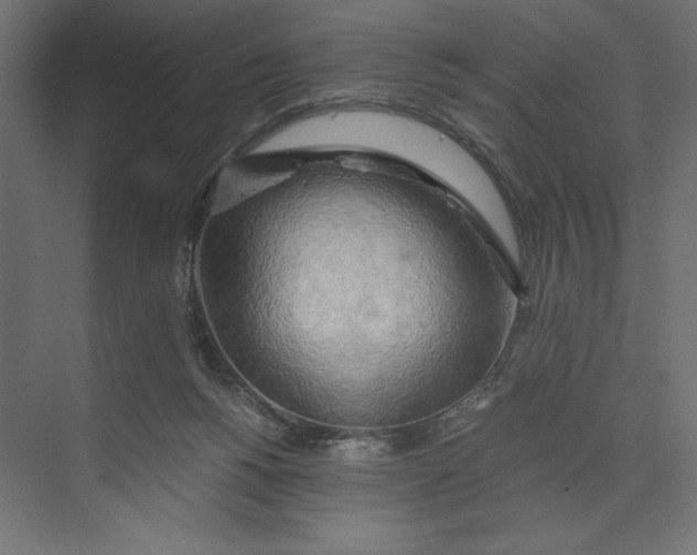 X0000073410168200608181104