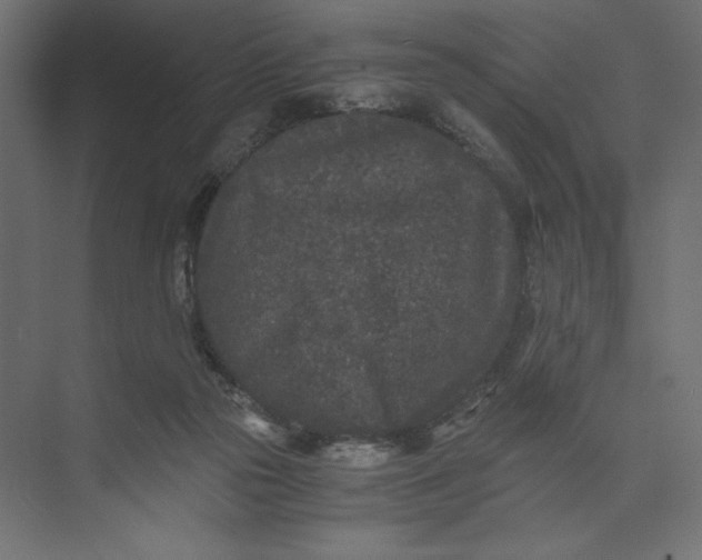 X0000073410169200608181104