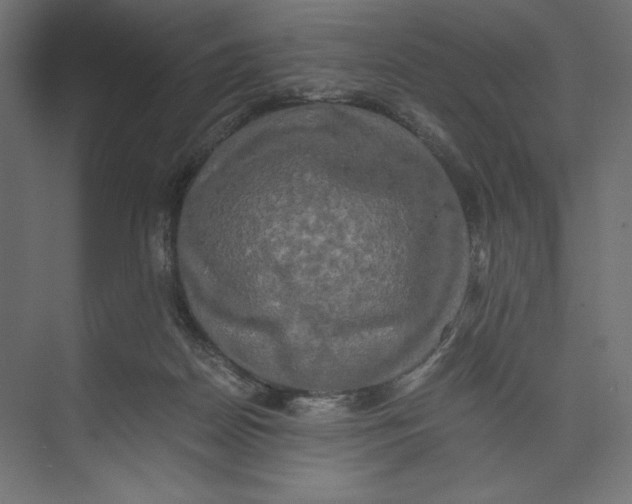 X0000073410170200608181104