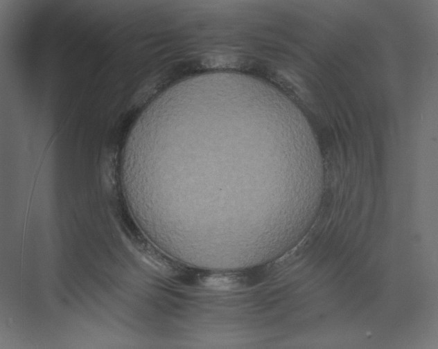 X0000073410171200608181104