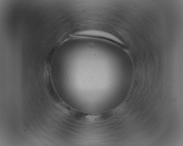 X0000073410172200608181104