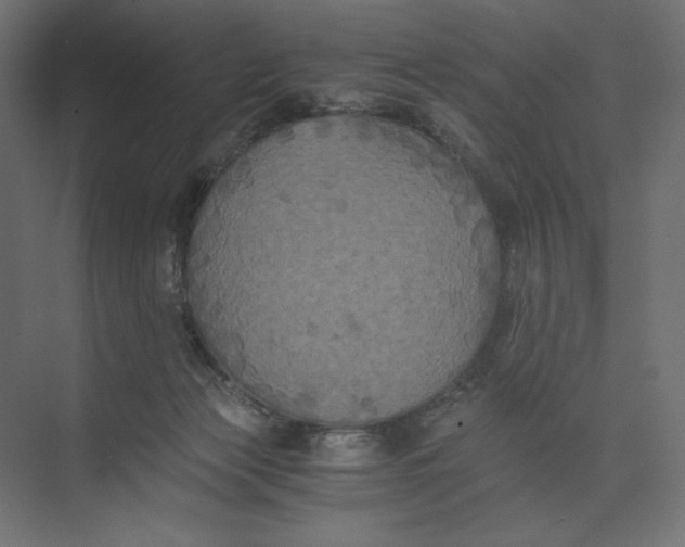 X0000073410173200608181104