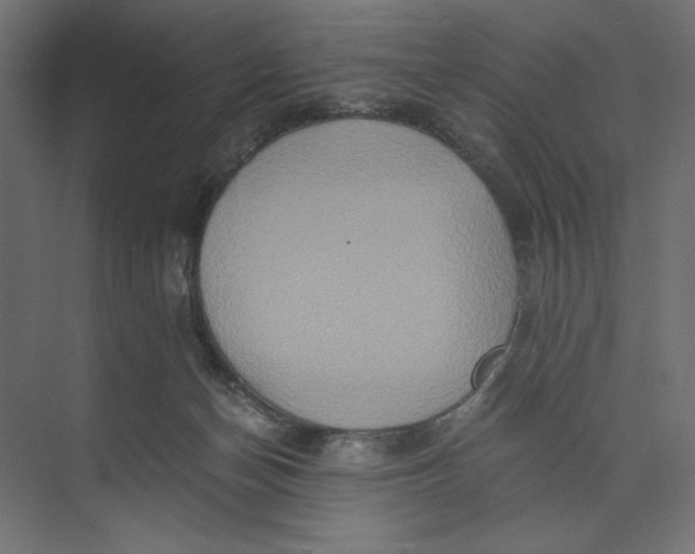 X0000073410174200608181104