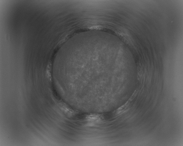 X0000073410175200608181104