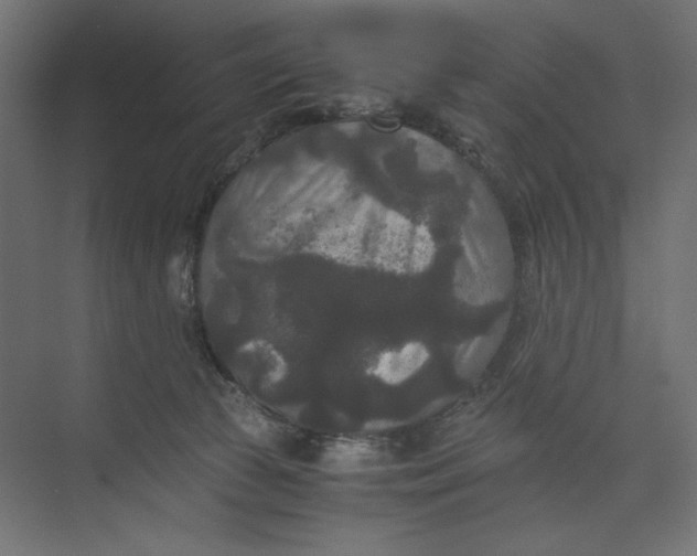 X0000073410177200608181104