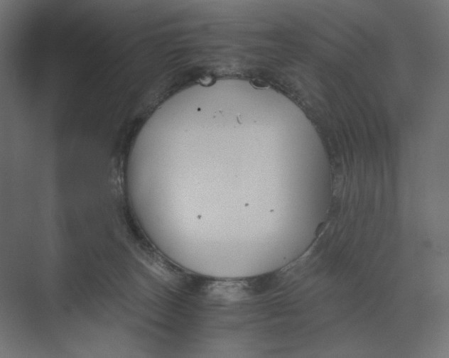 X0000073410179200608181104