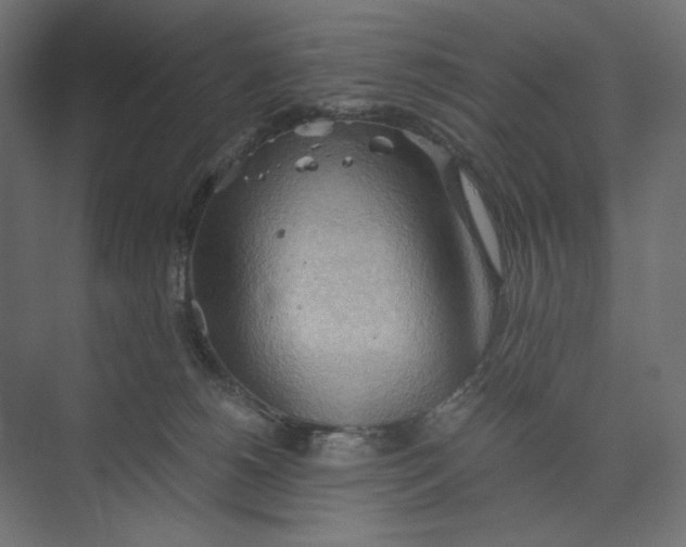 X0000073410180200608181104