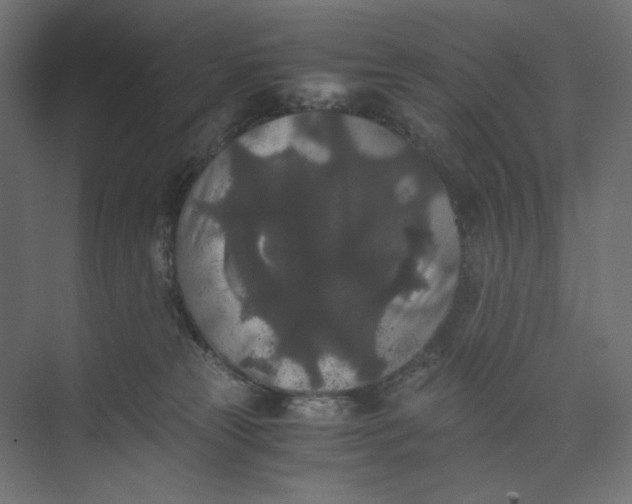 X0000073410181200608181104