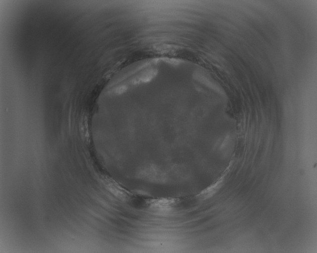 X0000073410182200608181104