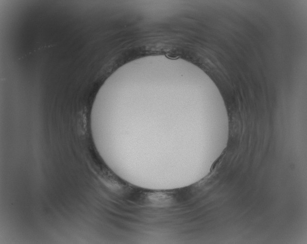 X0000073410183200608181104