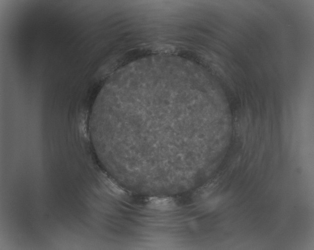 X0000073410185200608181105