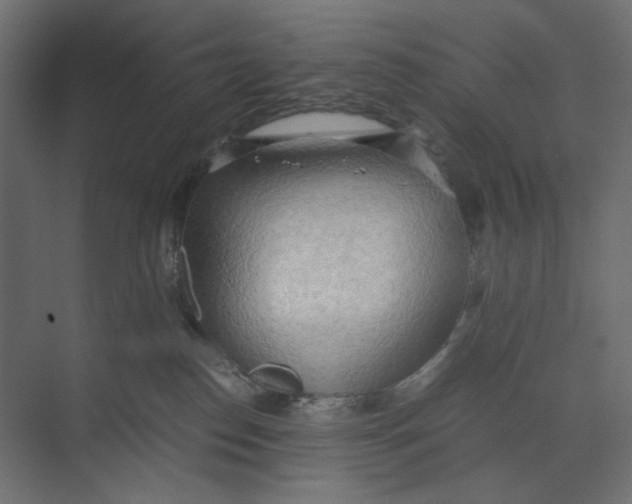 X0000073410186200608181105