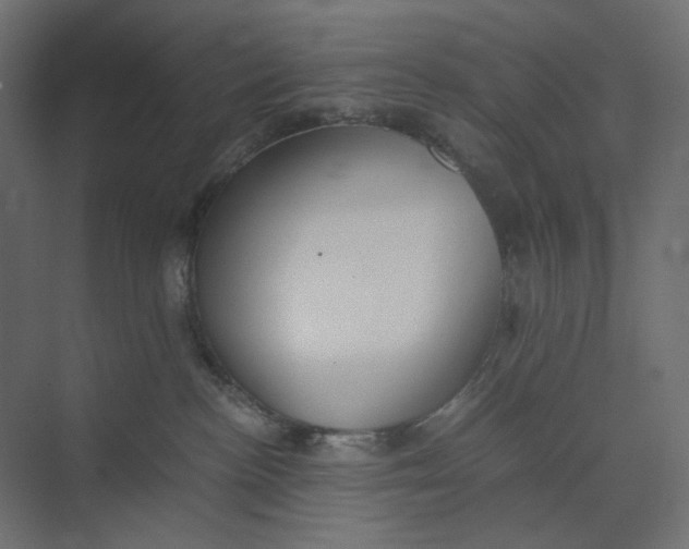 X0000073410188200608181105