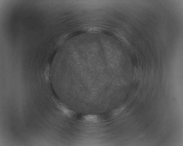 X0000073410189200608181105