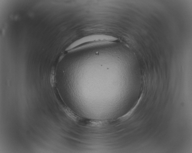 X0000073410190200608181105