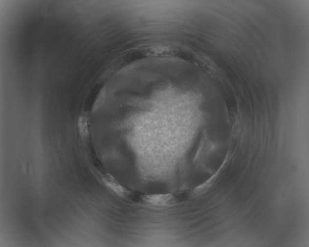 X0000073410191200608181105