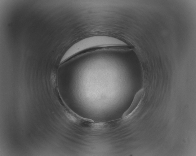 X0000073410192200608181105