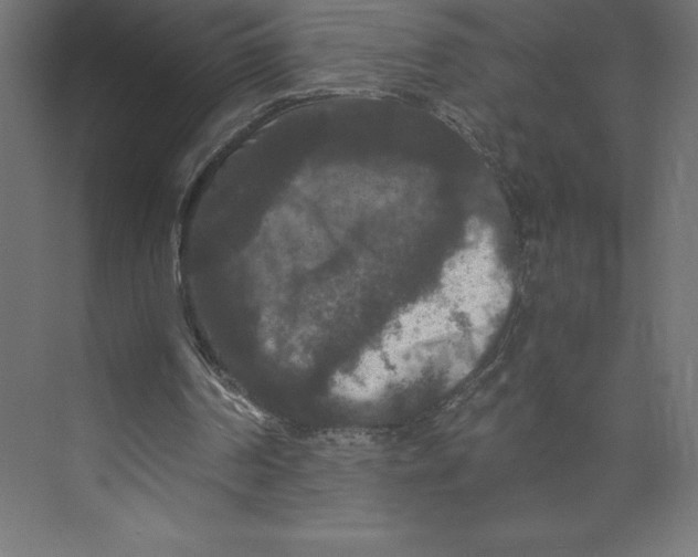 X0000073410194200608181104