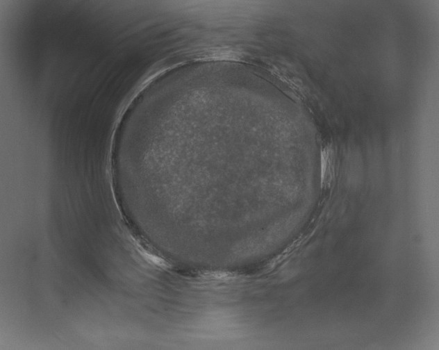 X0000073410195200608181104