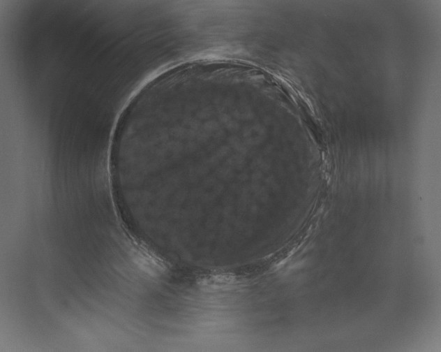 X0000073410196200608181104