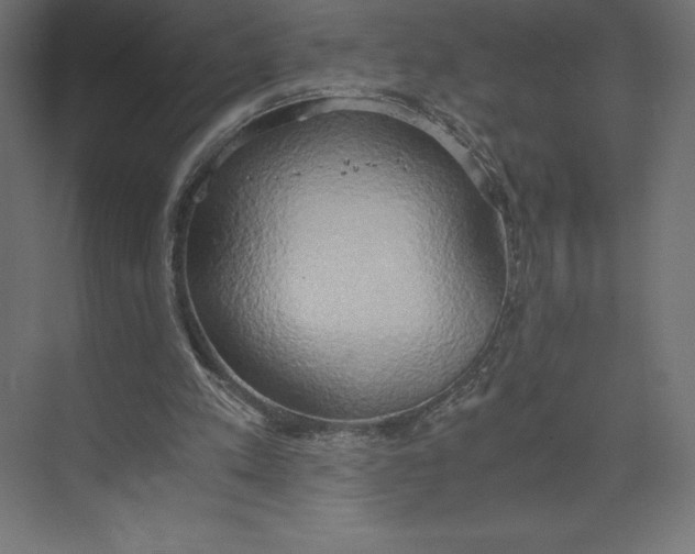 X0000073410197200608181104