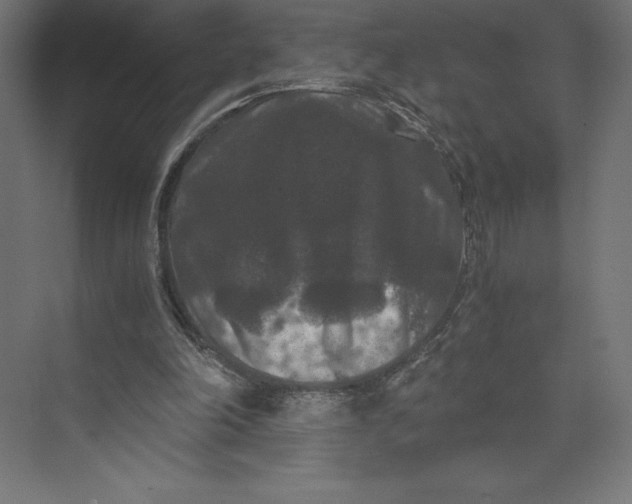 X0000073410198200608181104