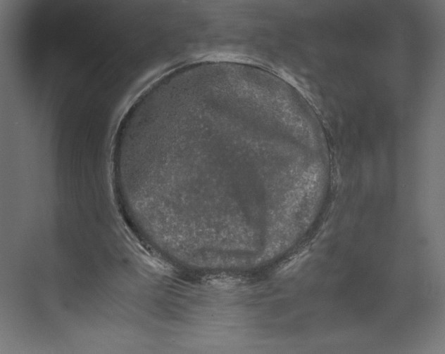 X0000073410199200608181104