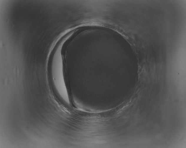 X0000073410200200608181104