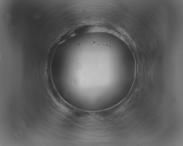 X0000073410201200608181104