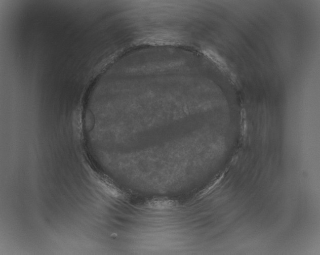 X0000073410202200608181104