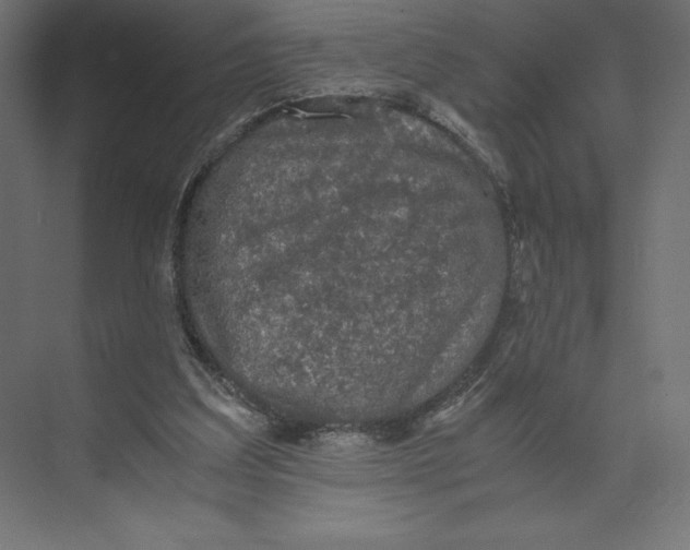 X0000073410203200608181104