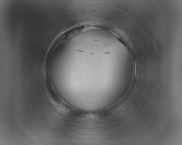 X0000073410204200608181104