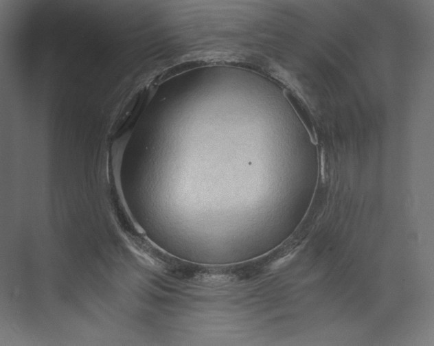 X0000073410205200608181104