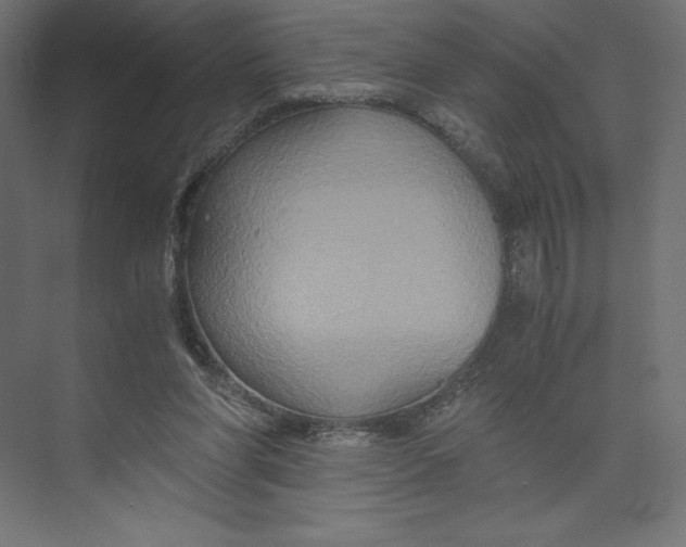 X0000073410206200608181104