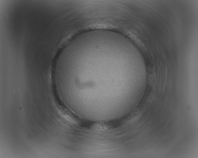 X0000073410207200608181104